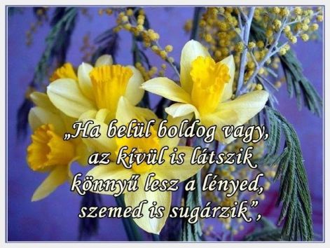www.tvn.hu_a0a9ef2272e2fb5ffa1d9f9d64b6513b.jpg